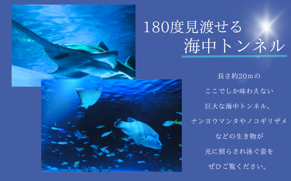 海中トンネル